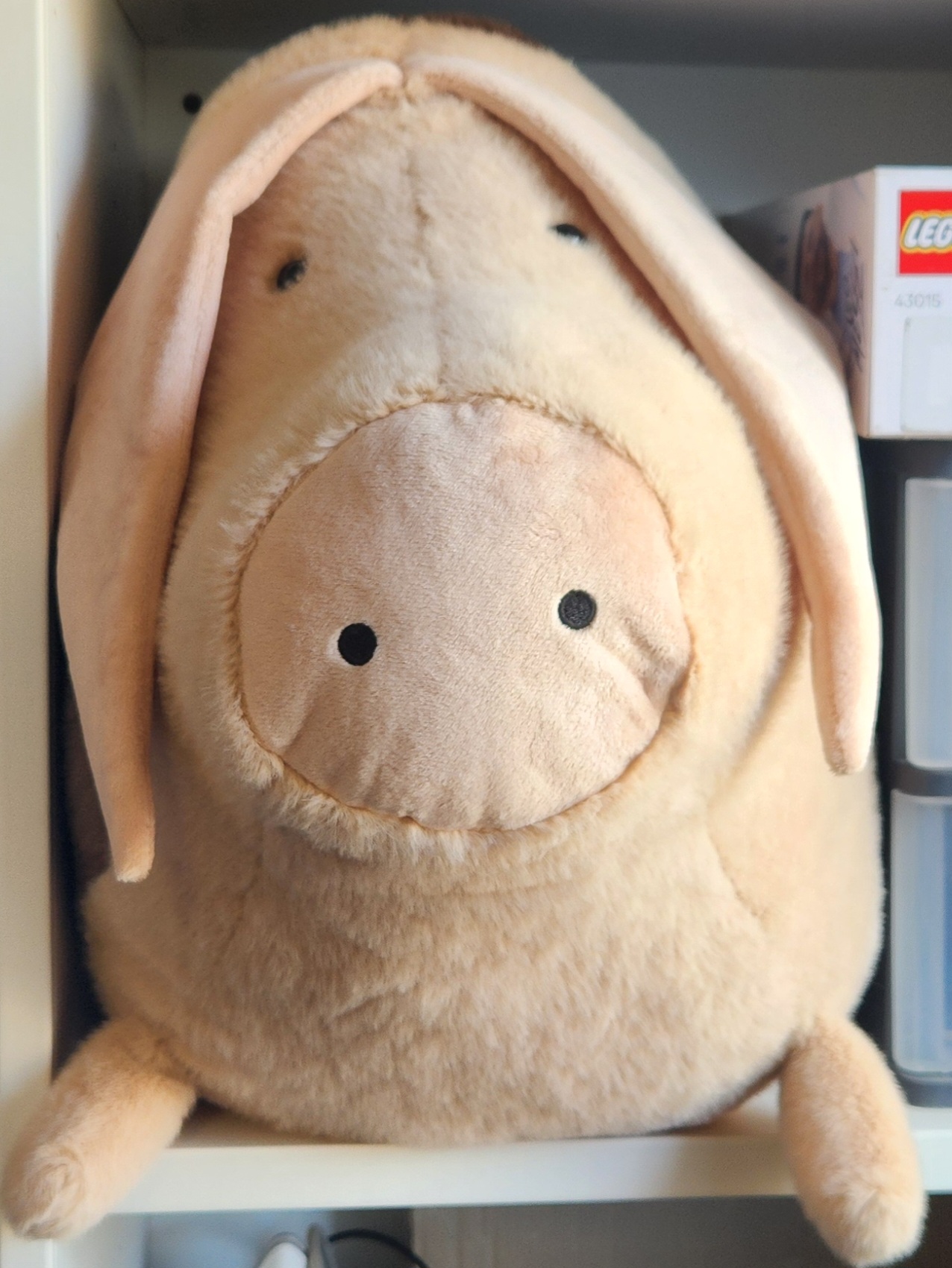 gros cochon de face